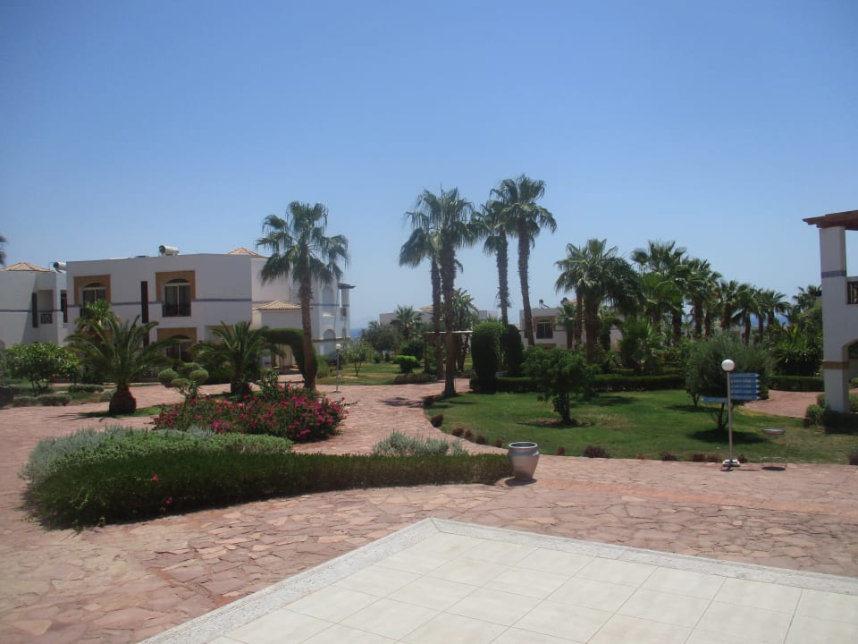 Gartenanlage Amphoras Blu