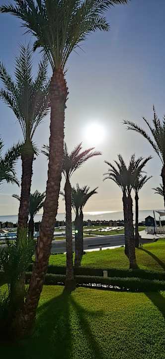 Ausblick Iberostar Waves Averroes