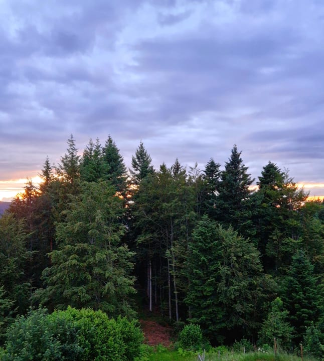 Ausblick Berggasthaus Braunbergstüble