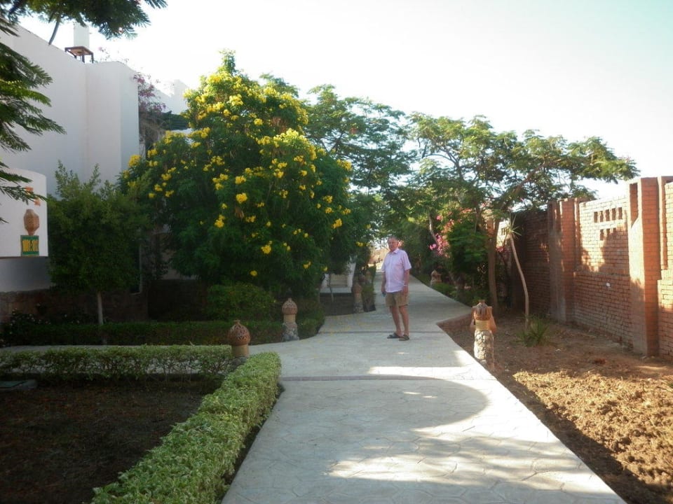 Gepflegter Parkweg zu den Zimmern Shams Alam Beach Resort