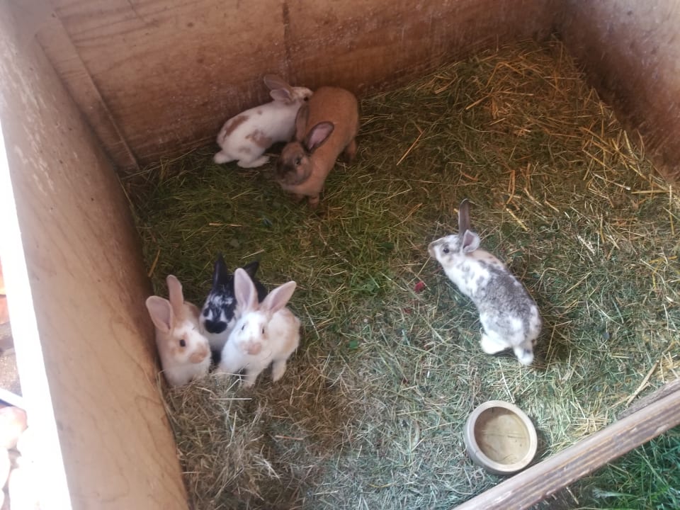 Sport & Freizeit Ferienhaus Bührer