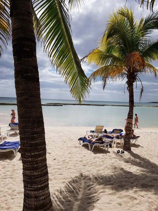 Strand TUI BLUE El Dorado Seaside Suites