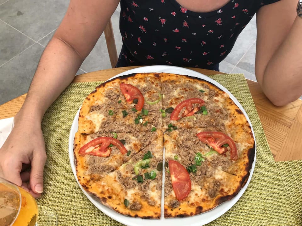 Gastro Acanthus Cennet Barut Collection