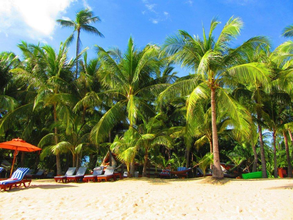 Liegen versteckt im Palmenwald Santiburi Koh Samui
