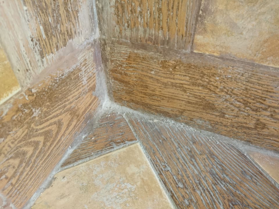 Zimmer Pickalbatros Citadel Resort