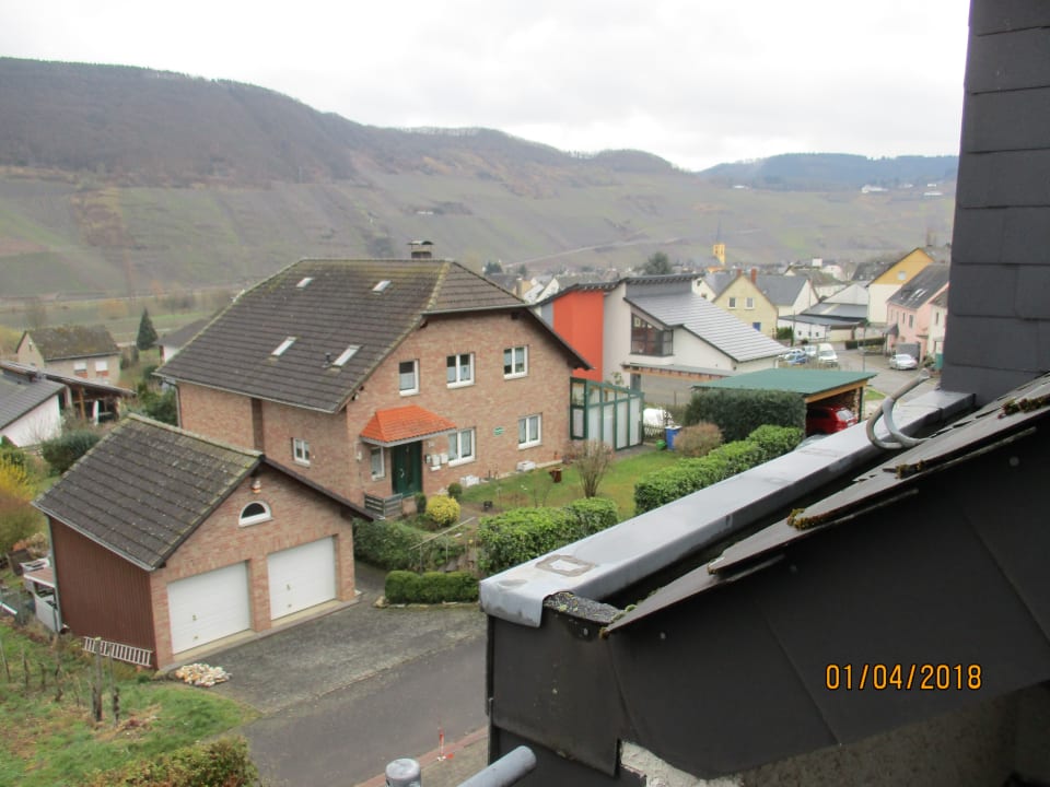 Ausblick Gästehaus Moselblick