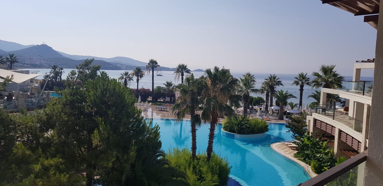 Ausblick Paloma Pasha