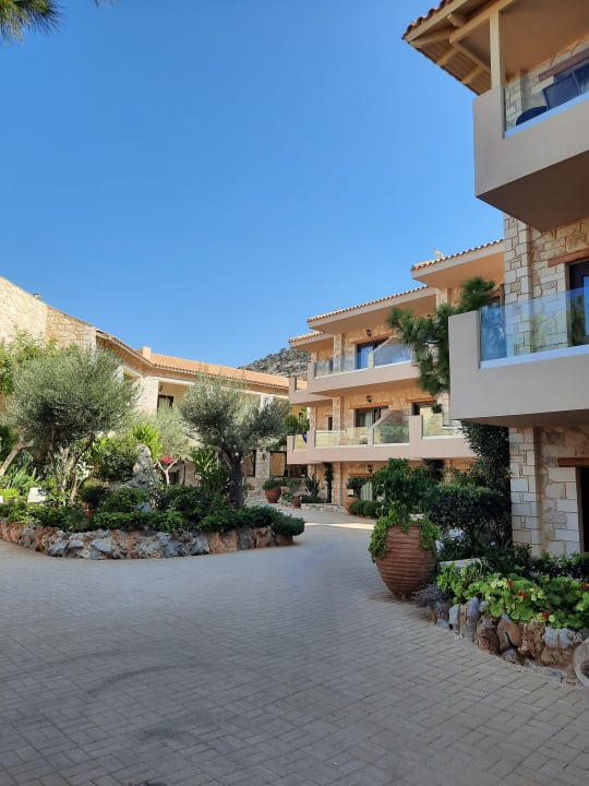 Gartenanlage Cactus Royal