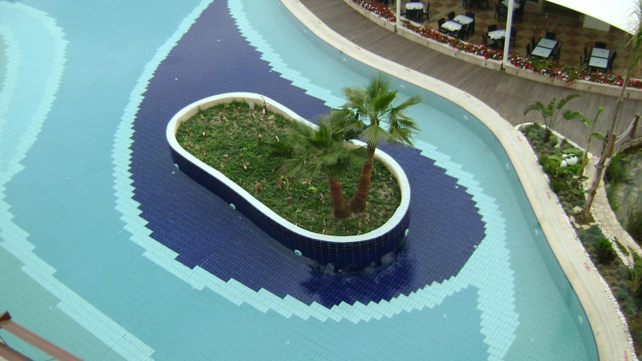 Palmentropfen Paloma Pasha