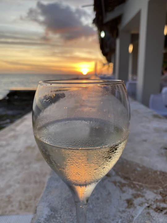 Ausblick Hotel Viva Dominicus Beach by Wyndham - All Inclusive Resort