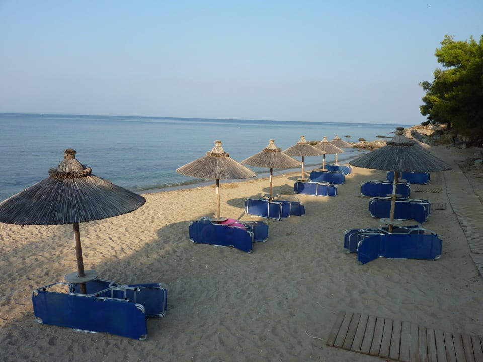 Hotelstrand Blue Dolphin Resort Hotel