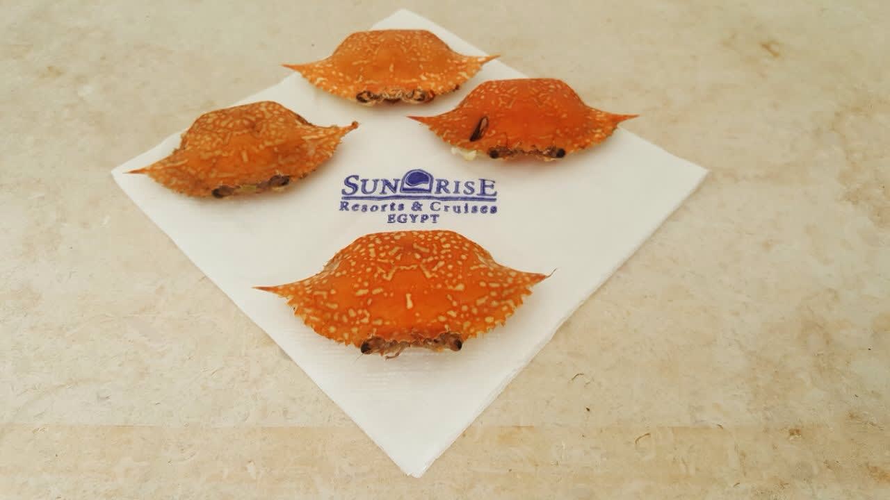 Gastro SUNRISE Royal Makadi Resort