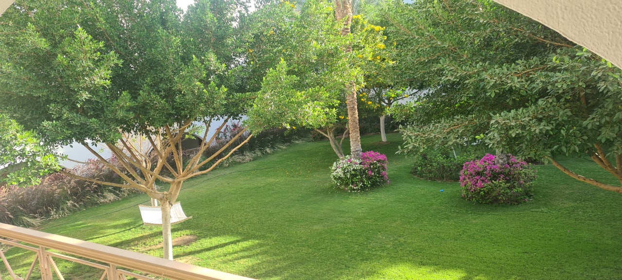 Ausblick Desert Rose