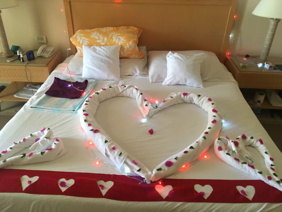 Zimmer Hotel JAZ Makadi Star & Spa