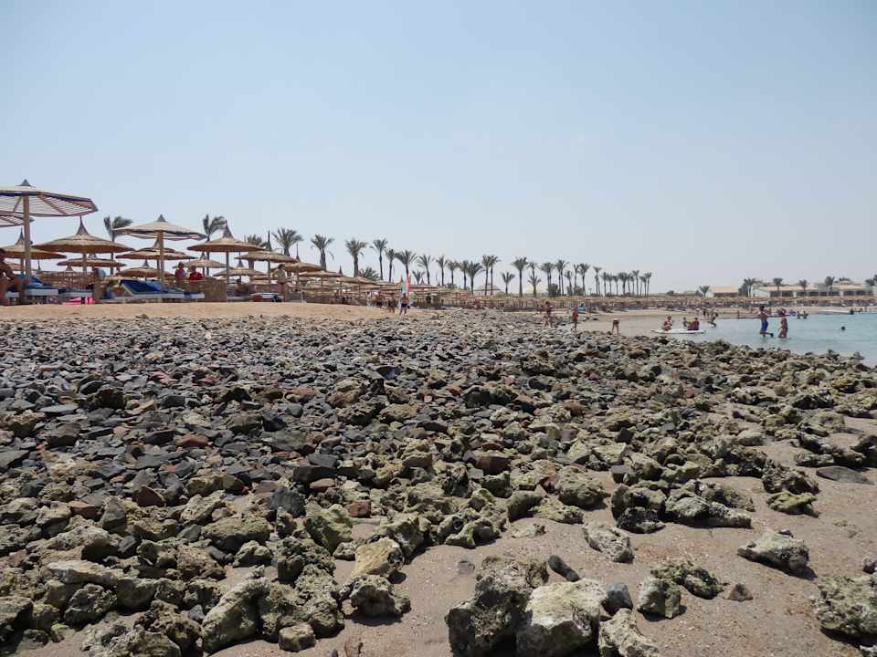 Korallen Pickalbatros Alf Leila Wa Leila Resort - Neverland Hurghada