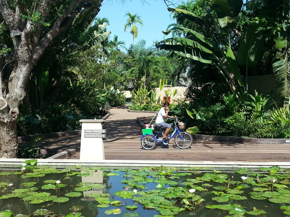 Zimmermädchen sind mit dem Fahrrad unterwegs Sheraton Hua Hin Pranburi Villas