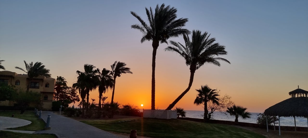 Ausblick Steigenberger Coraya Beach - Adults only