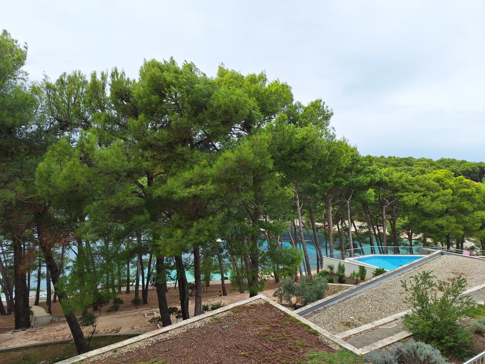 Ausblick Hotel Aurora