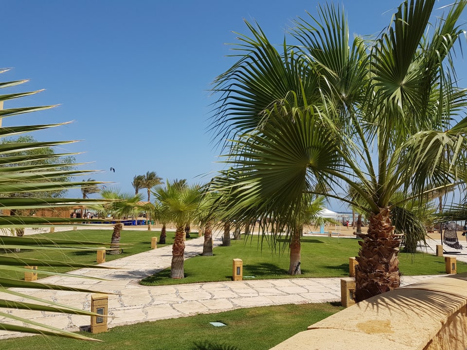 Gartenanlage Casa Mare Resort