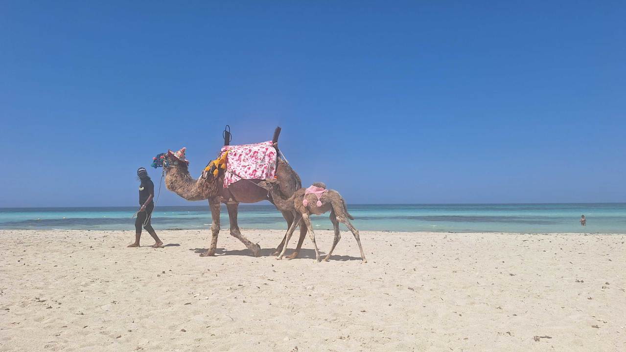 Strand Calimera Yati Beach