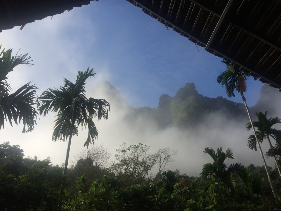 Ausblick Elephant Hills