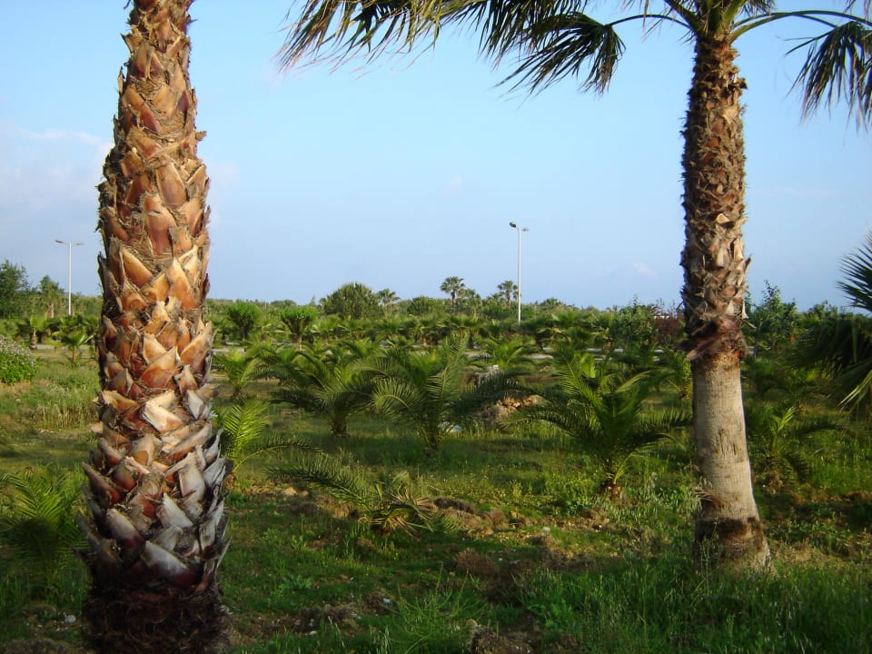 Vom Hotel zum Strand Club Grand Aqua