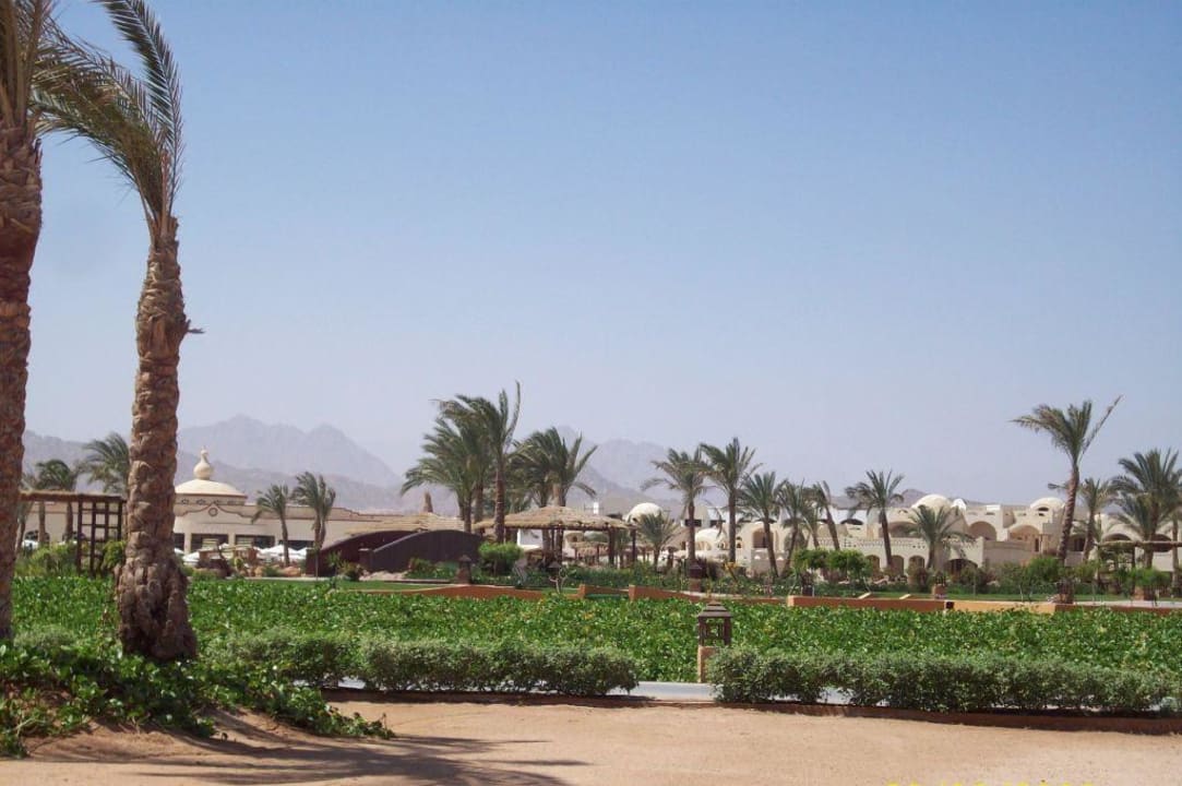 Garten mit Blick nach hinten raus Regency Plaza Aqua Park & Spa