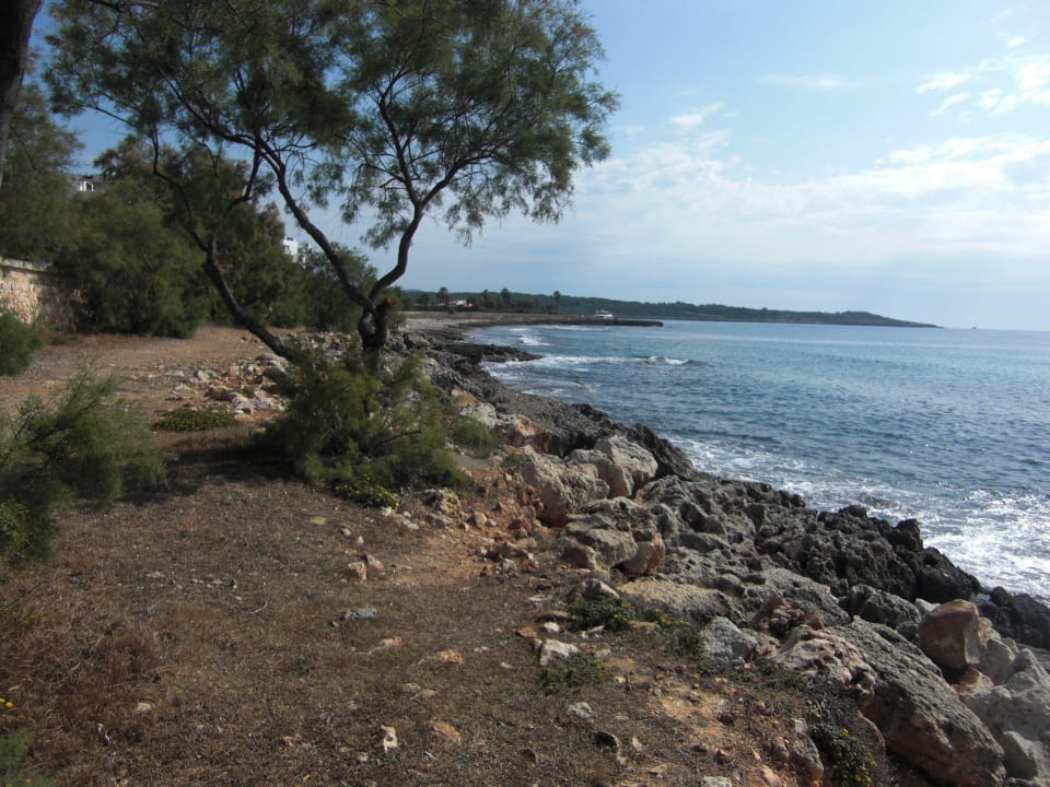 Super Klettermöglichkeiten direkt neben dem Strand BJ Playamar Hotel & Apartamentos