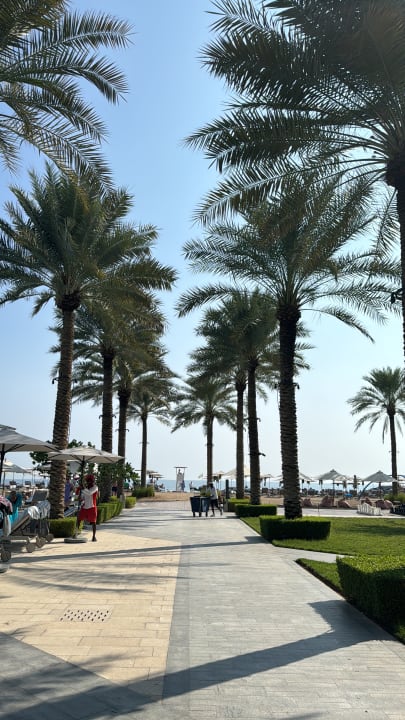 Gartenanlage Palace Beach Resort Fujairah