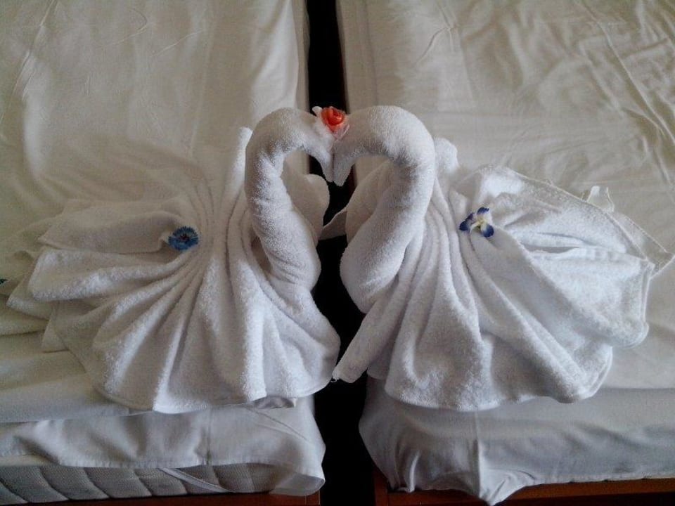 Zwei Schwäne auf unserem Bett Hotel Bilyana Beach