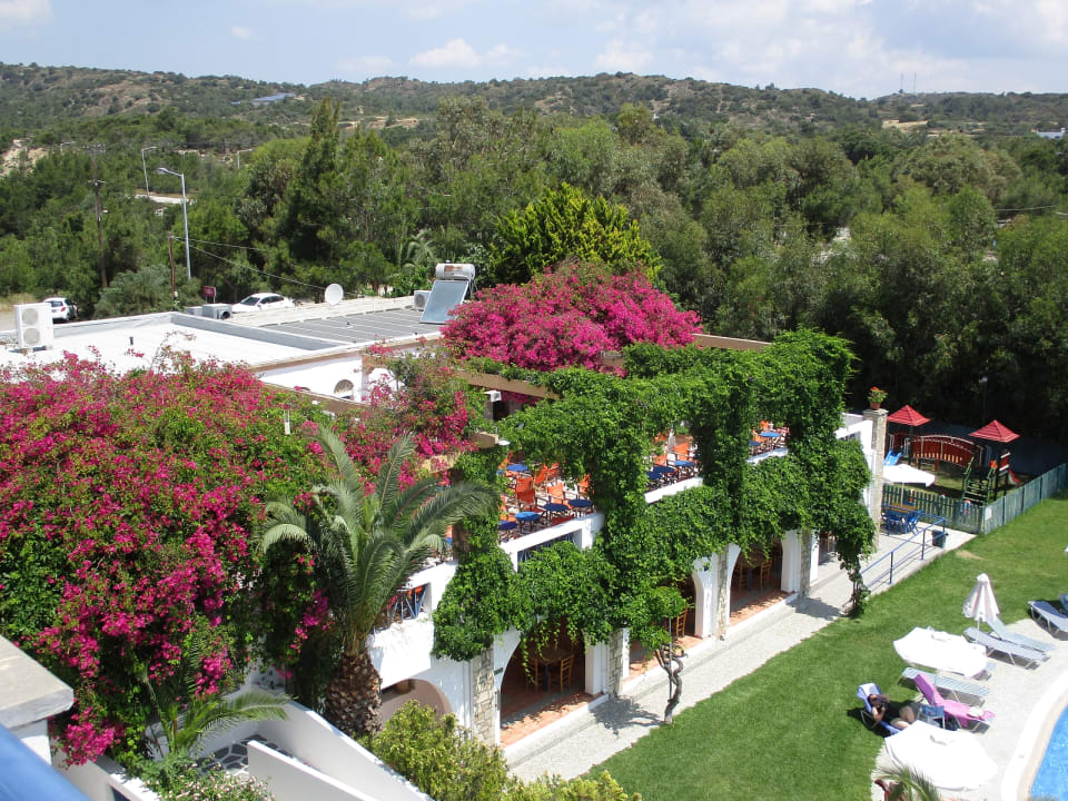 Ausblick Ekaterini Hotel