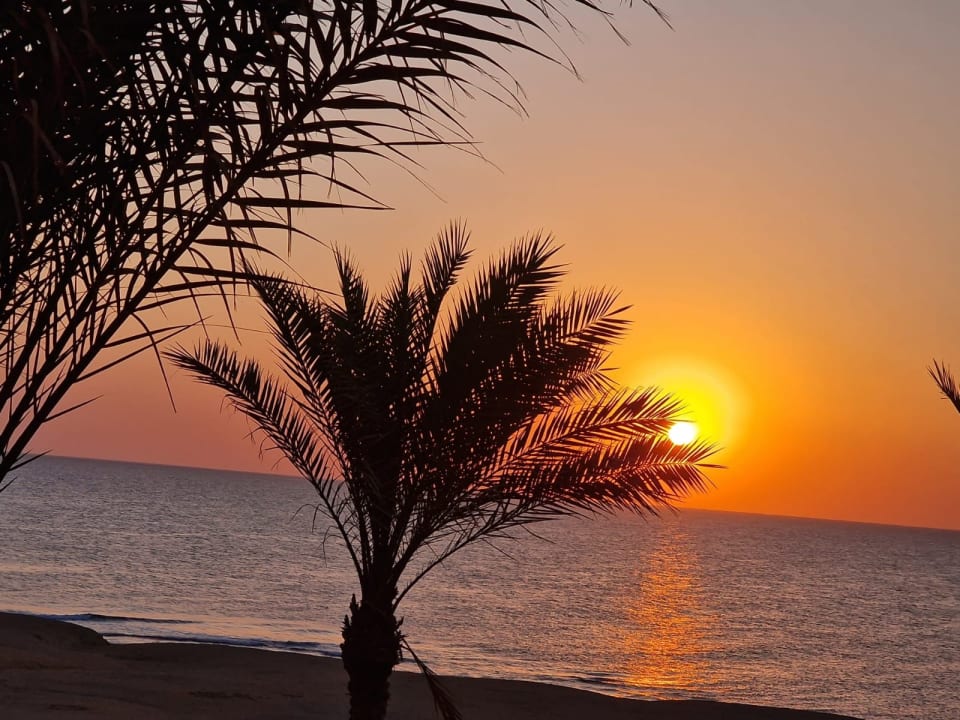 Ausblick Steigenberger Coraya Beach - Adults only