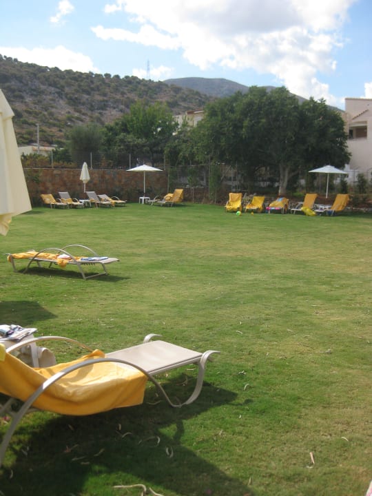 Idyllische ruhige Liegewiese Cactus Royal