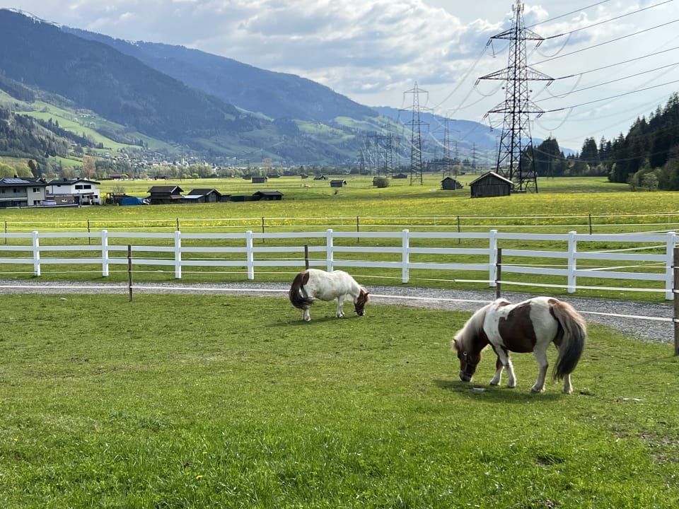 Gartenanlage Kinderhotel Felben