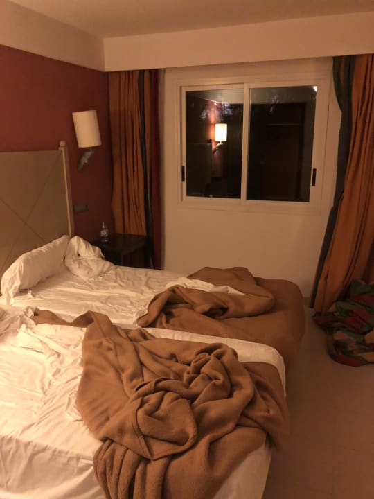Zimmer blau punta reina