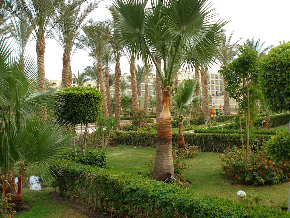 Сад Riviera Aqua Park Resort