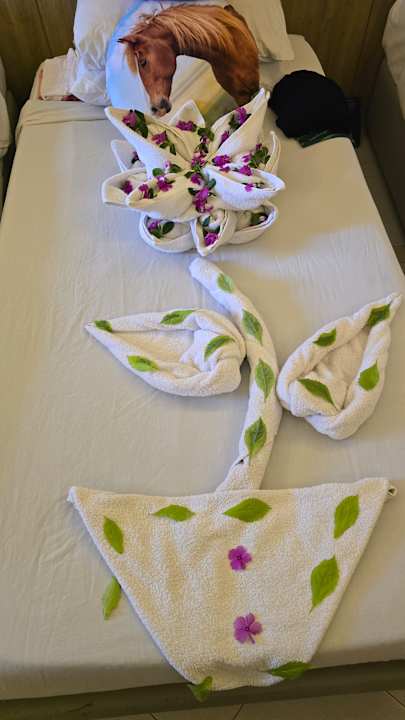 Zimmer Regina Resort and Aqua Park Hurghada