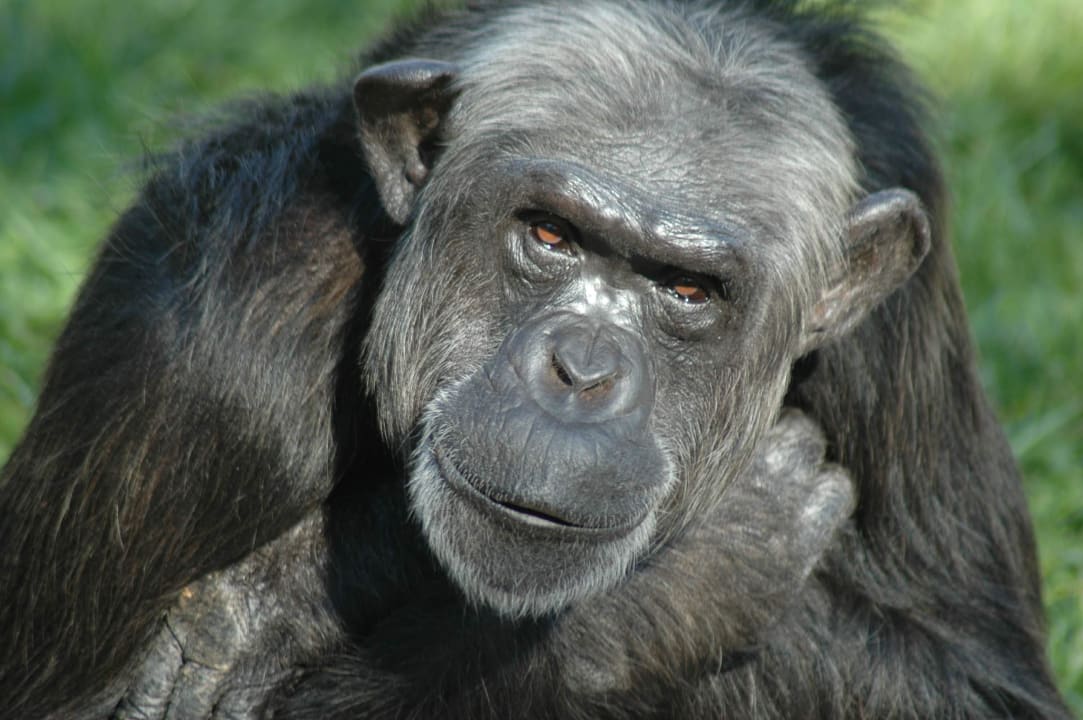 Spass in Zoo Hotel Safari