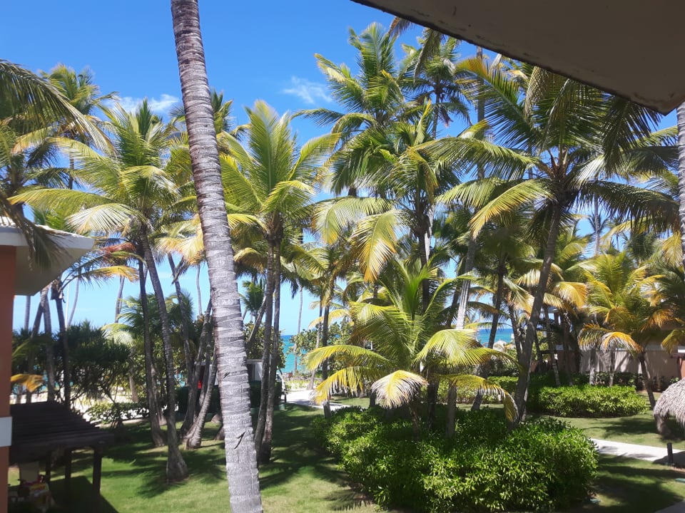 Gartenanlage Hotel Grand Palladium Palace Resort, Spa & Casino