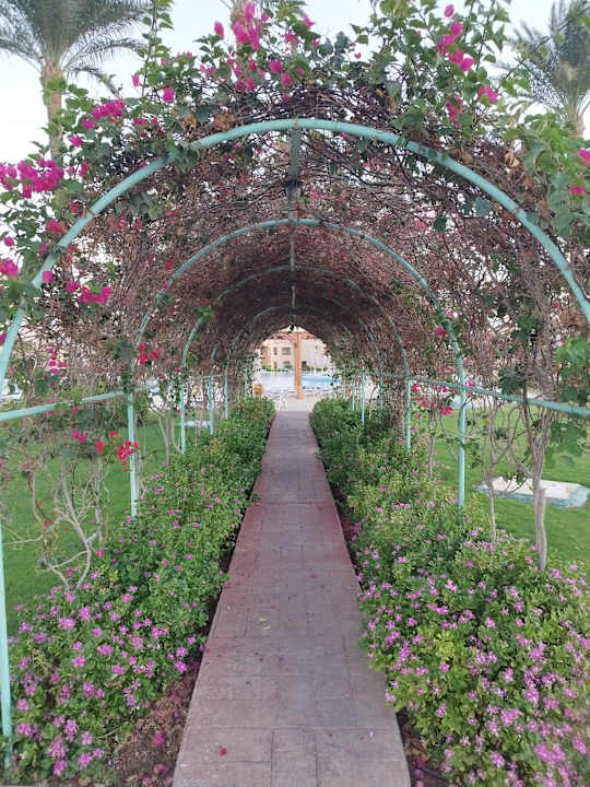 Außenansicht Cleopatra Luxury Resort Makadi Bay