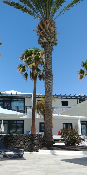 Sonstiges Bungalows & Appartements Playamar