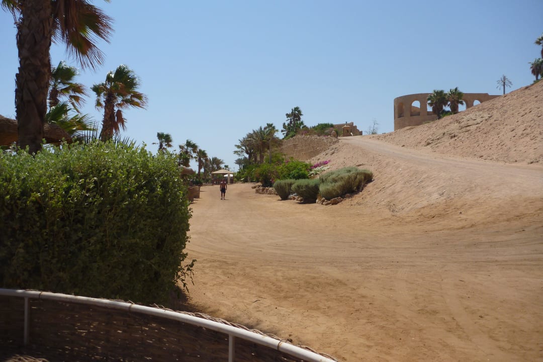 Citadel Azur Resort Pickalbatros Citadel Resort