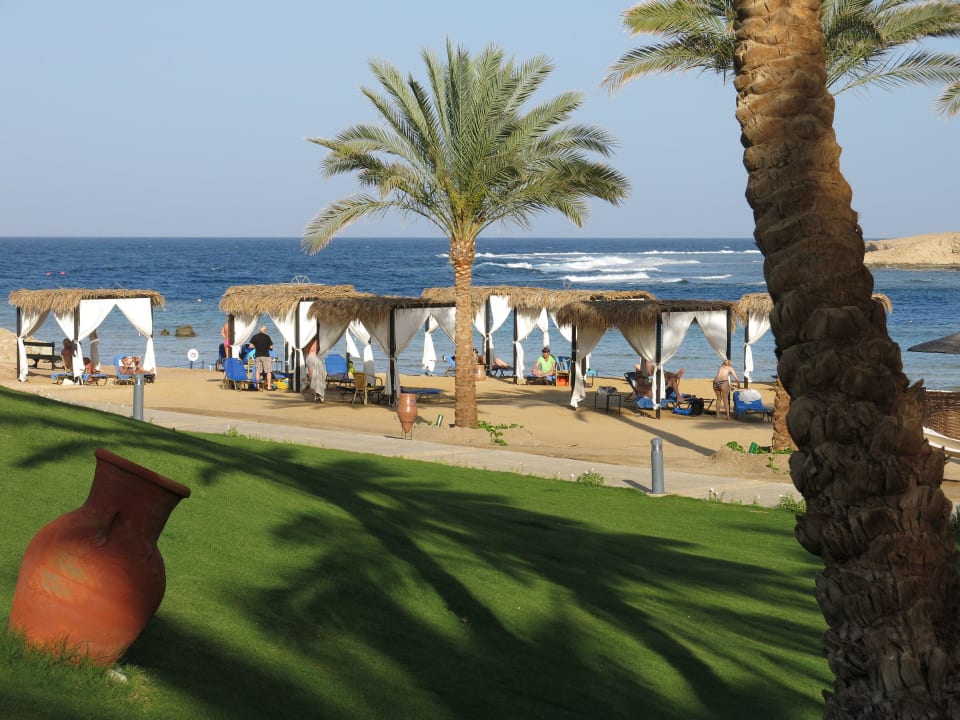 Hoteleigener Strand Steigenberger Coraya Beach - Adults only