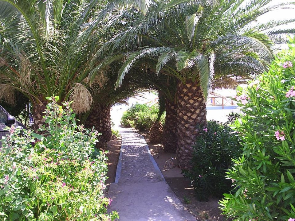 Weg zum Strand vom Hotel Hotel South Coast