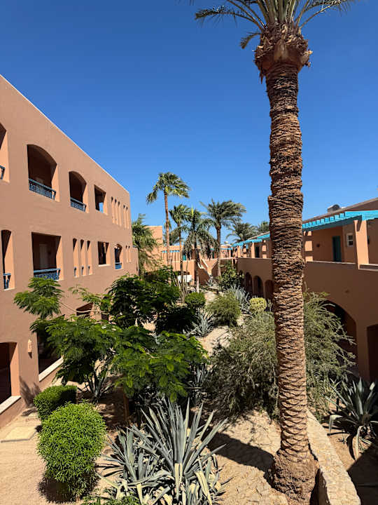 Gartenanlage Club Paradisio El Gouna, Red Sea