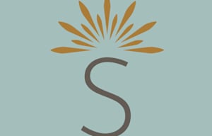 brandedbox-logo