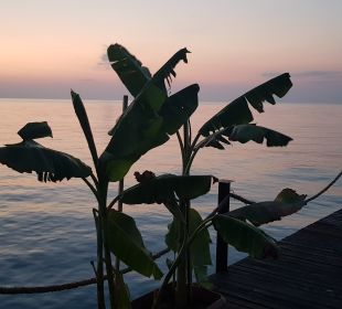 Hotelbilder Simena Sun Club Camyuva Holidaycheck