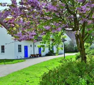 Awo feriendorf ostsee