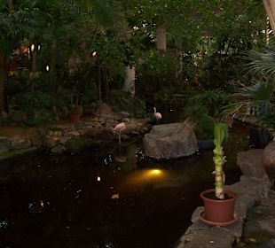 Hotelbilder Center Parcs Bispinger Heide in Bispingen • Niedersachsen