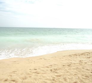 59ec4476 7d86 33cf 981c d730e5c87d54